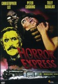 Cover zu Horror-Express (Horror Express)