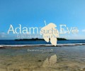 Cover zu Adam sucht Eva - Promis im Paradies ()