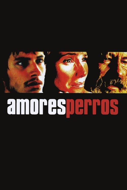 Cover zu Amores perros (Amores Perros)
