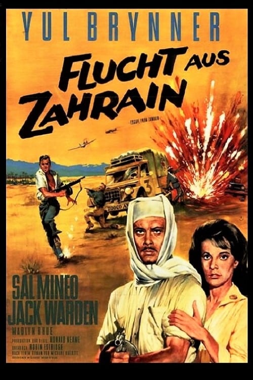 Cover zu Flucht aus Zahrain (Escape from Zahrain)