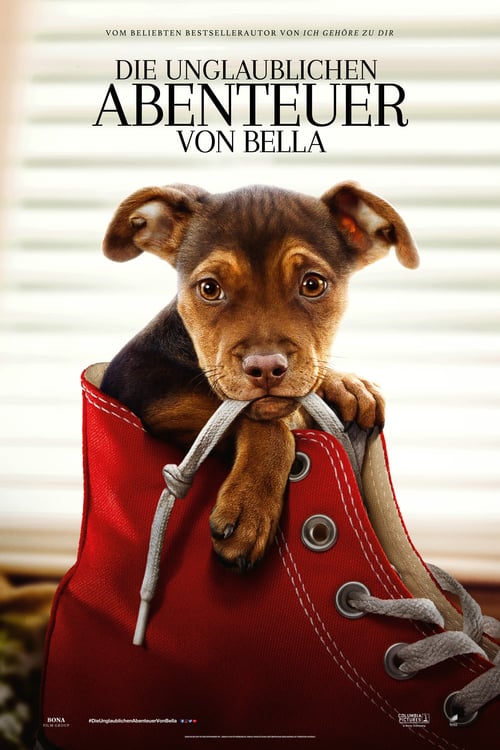 Cover zu Die unglaublichen Abenteuer von Bella (A Dog's Way Home)