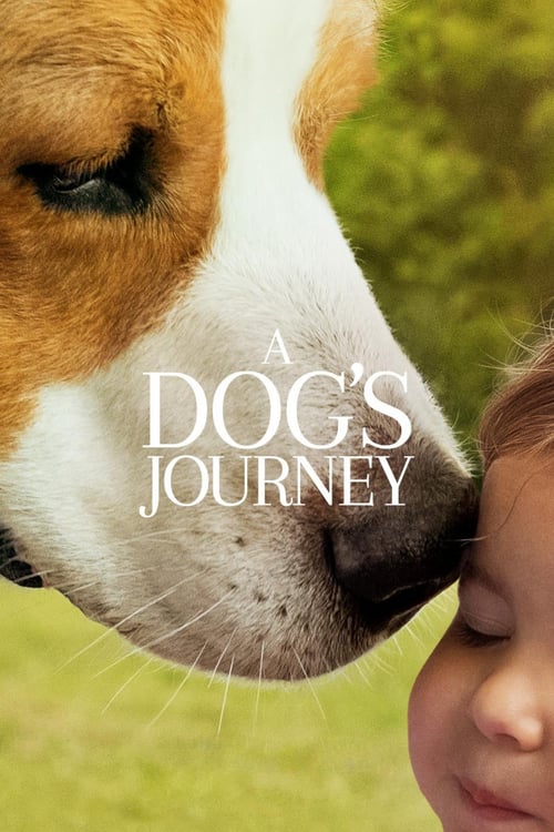 Cover zu Bailey - Ein Hund kehrt zurück (A Dog's Journey)
