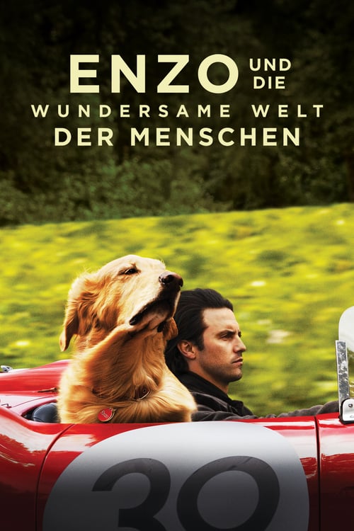 Cover zu Enzo und die wundersame Welt der Menschen (The Art of Racing in the Rain)