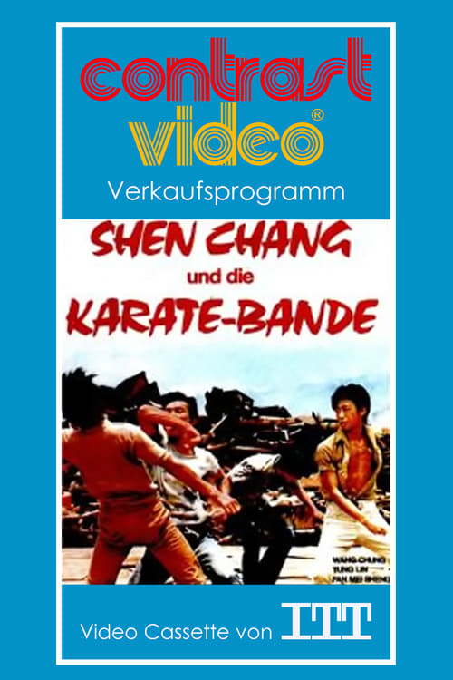 Cover zu Shen Chang und die Karate-Bande (Fen nu qing nian)