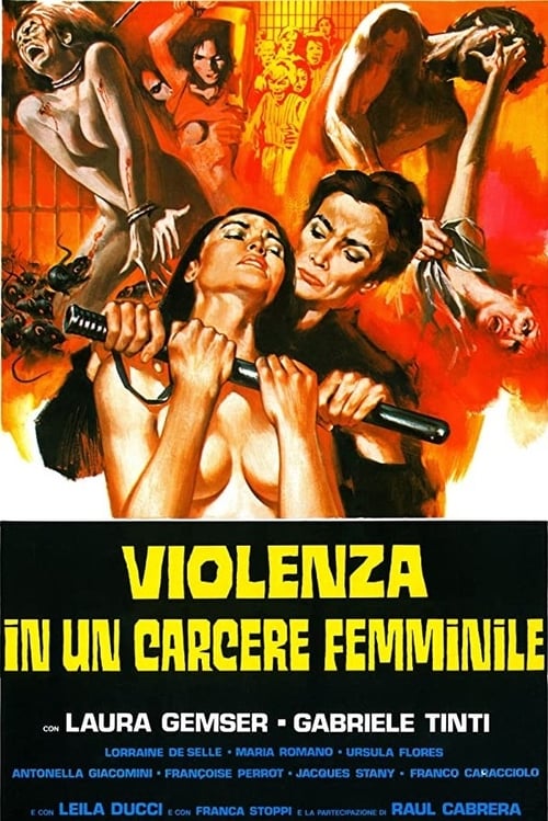 Cover zu Laura - Eine Frau geht durch die Hölle (Violence in a Women's Prison)